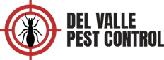 Bedbug Control Weslaco