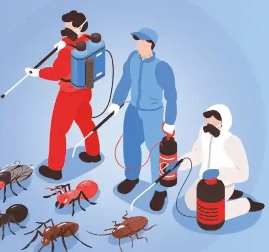 Termite control services