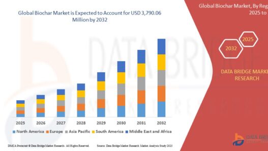 Biochar Market