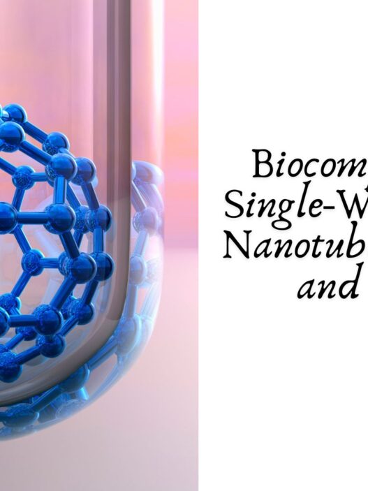 Biocompatibility of Single-Walled Carbon Nanotubes: Challenges and Solutions