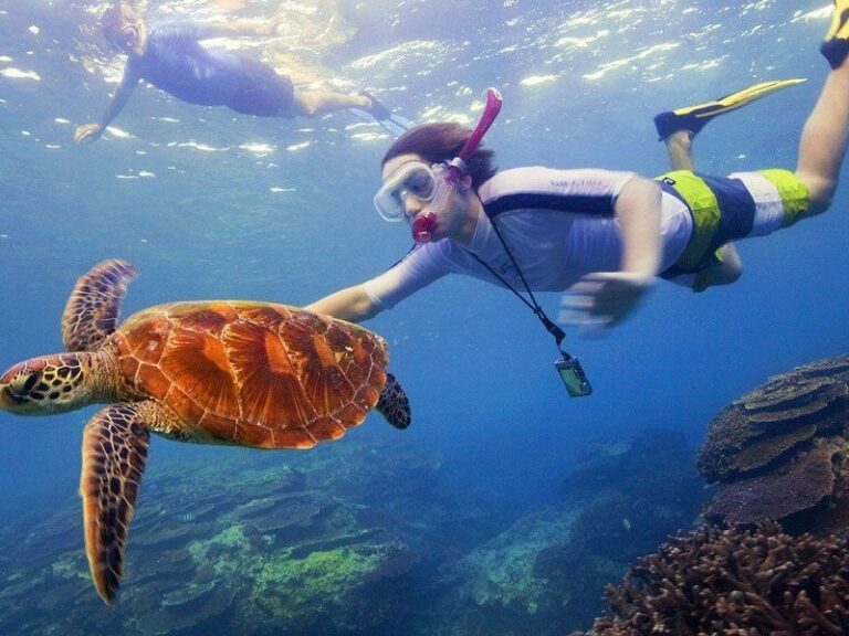 Diving in Havelock, Andaman