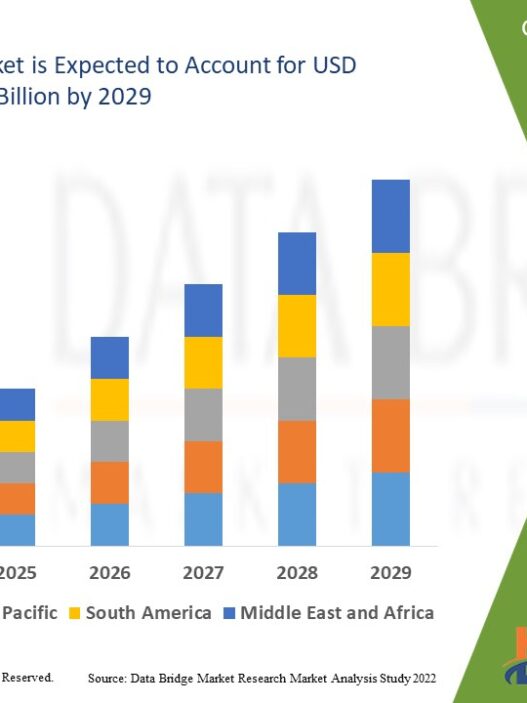 Organic Acids Market