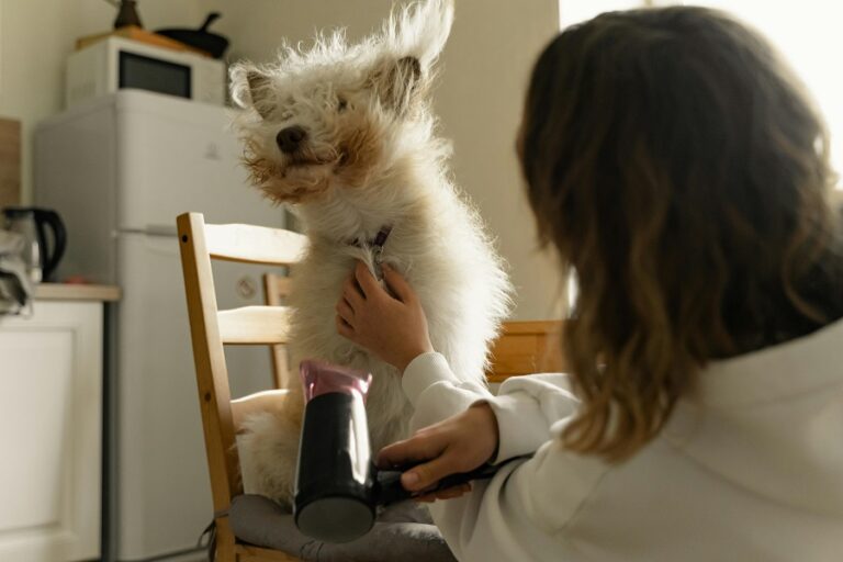dog grooming at home