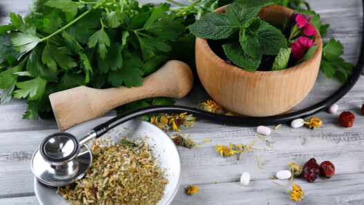 How Can Herbs Be Useful in Managing Your Diabetes?