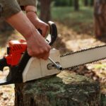 Stump Grinding