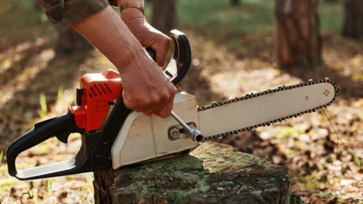 Stump Grinding