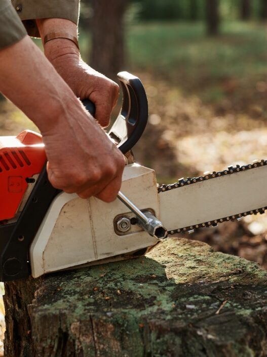 Stump Grinding