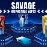 Delta-King Delta 8 Vapes: Unmatched Quality, Unbeatable Prices!