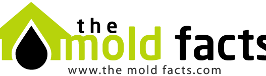 Mold Removal Services