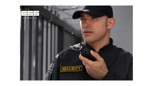 security services in london
