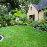 landscaped yard