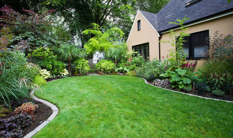 landscaped yard