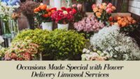 Occasions Made Special with Flower Delivery Limassol Services