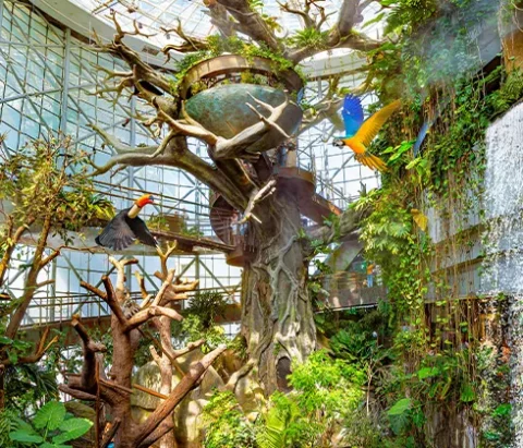 indoor rainforest dubai