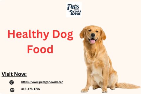 Healthy Dog Food