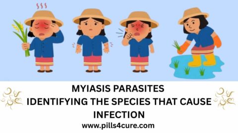Cutaneous myiasis