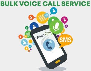 Bulk Voice service provider