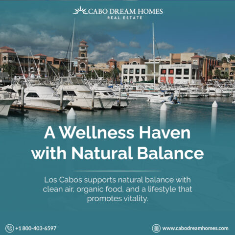 Cabo Real Estate